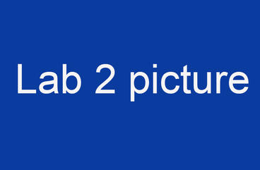 Lab 2 placeholder picture